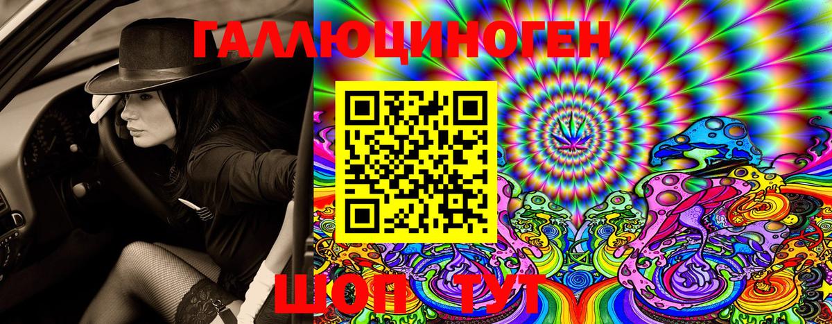 Нефтекумск  Псилоцибиновые грибы Psilocybe  Вход с VPN 